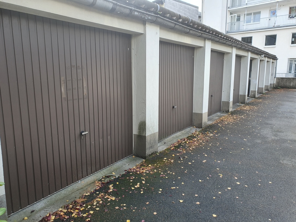 20190927_132148_resized_1