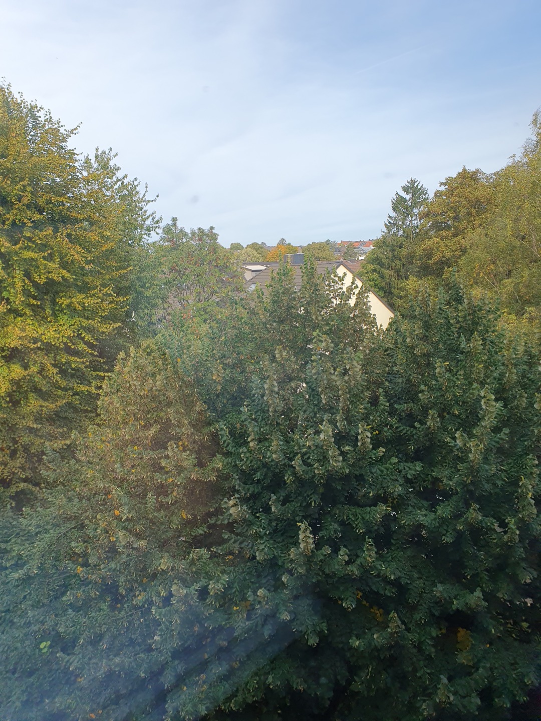 Aussicht Kinderzimmer/Gästezimmer